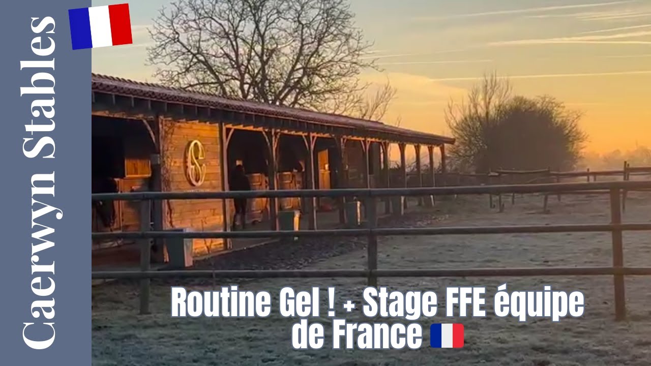 Vlog une matinée gelé + Stage FFE l Caerwyn Stable l Version Française