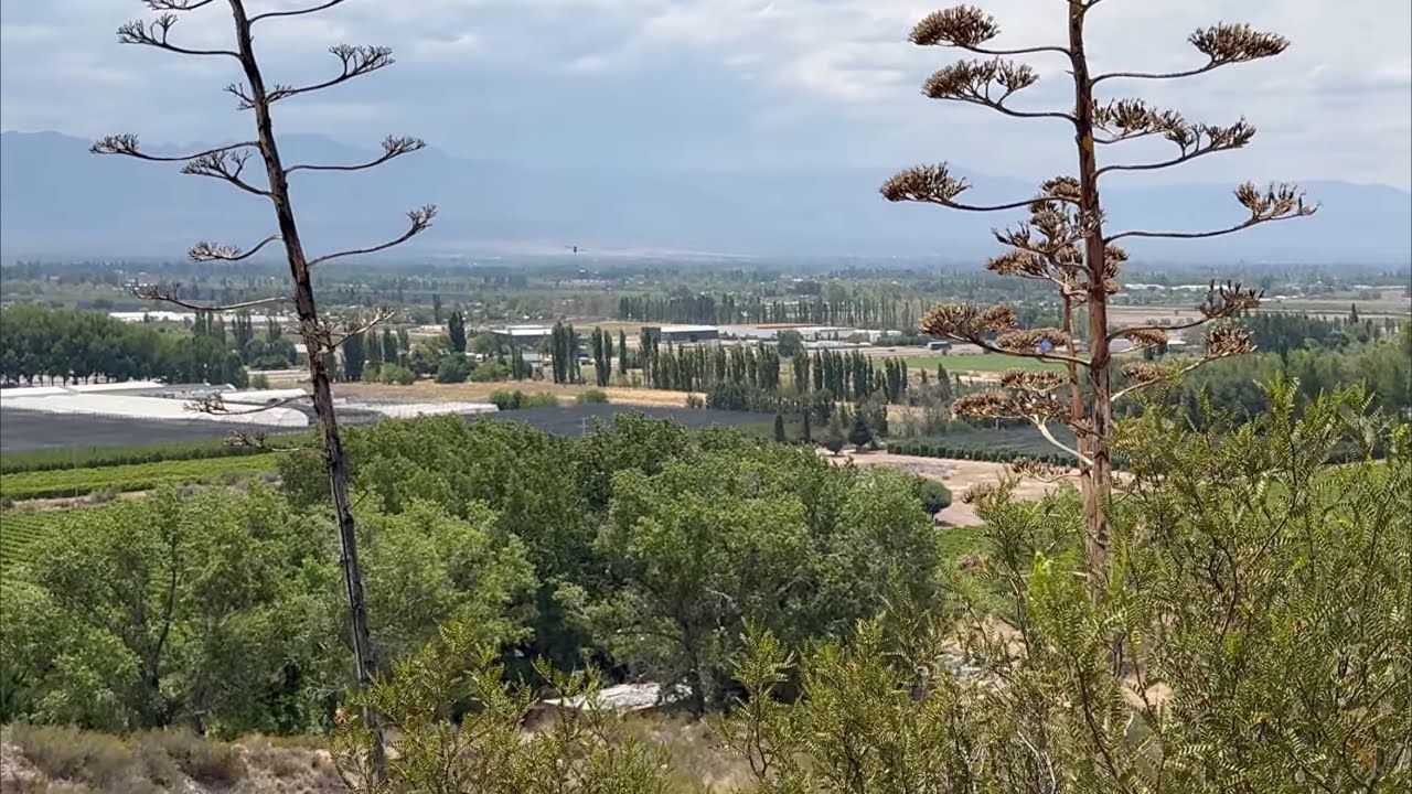 LUJÁN DE CUYO, Agrelo, Mendoza, Argentina 