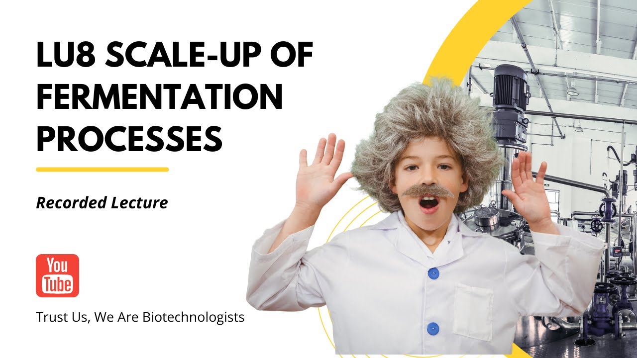 Scale-up of fermentation processes