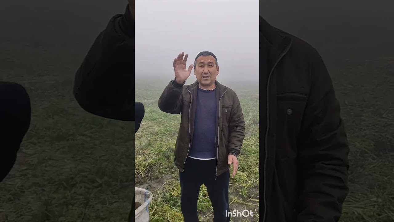 🤯🥕SINSATSIYA  ISBOTI BILAN BOSHIDAN OXIRGACHA KOʻRING!