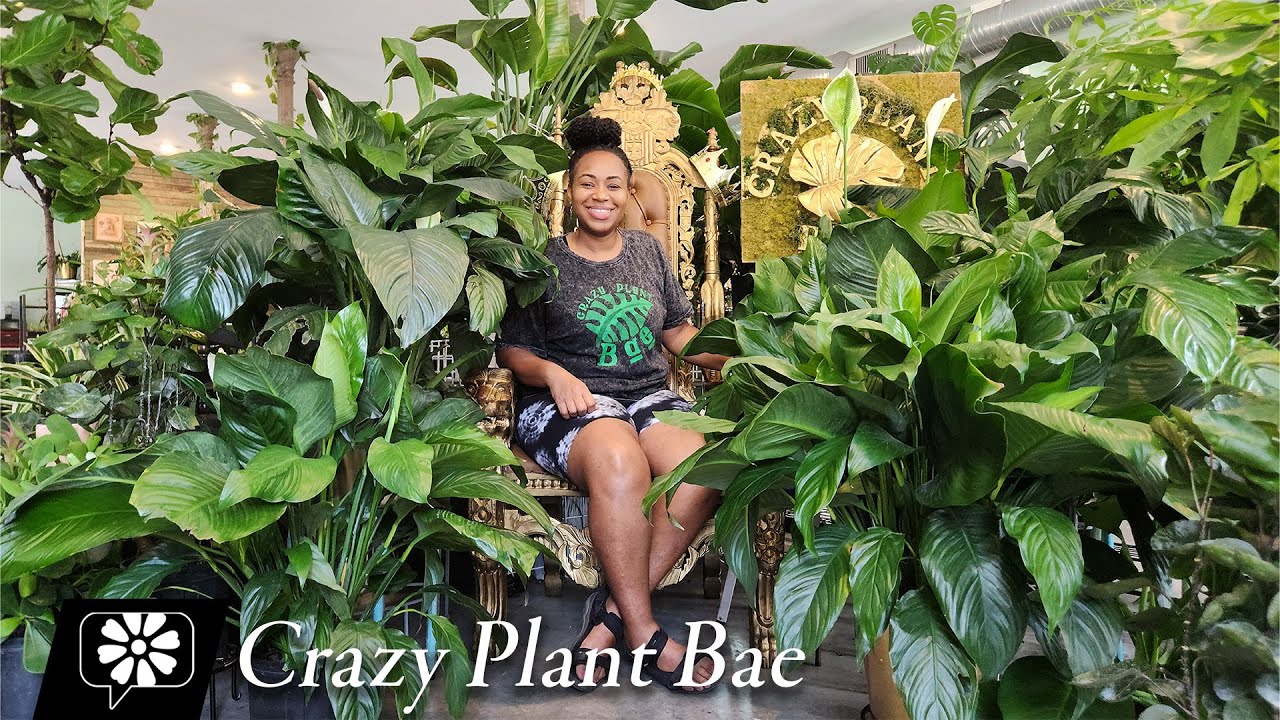 Crazy Plant Bae