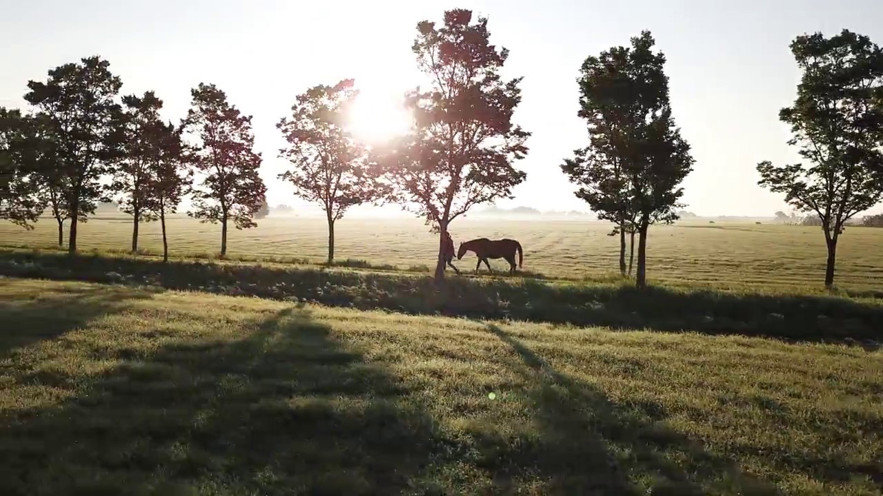 Rise before the sun