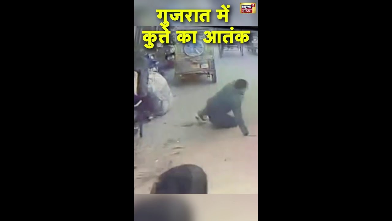 गुजरात के अमरेली में आवारा कुत्ते का आतंक | Dog attack | Viral | #Shorts