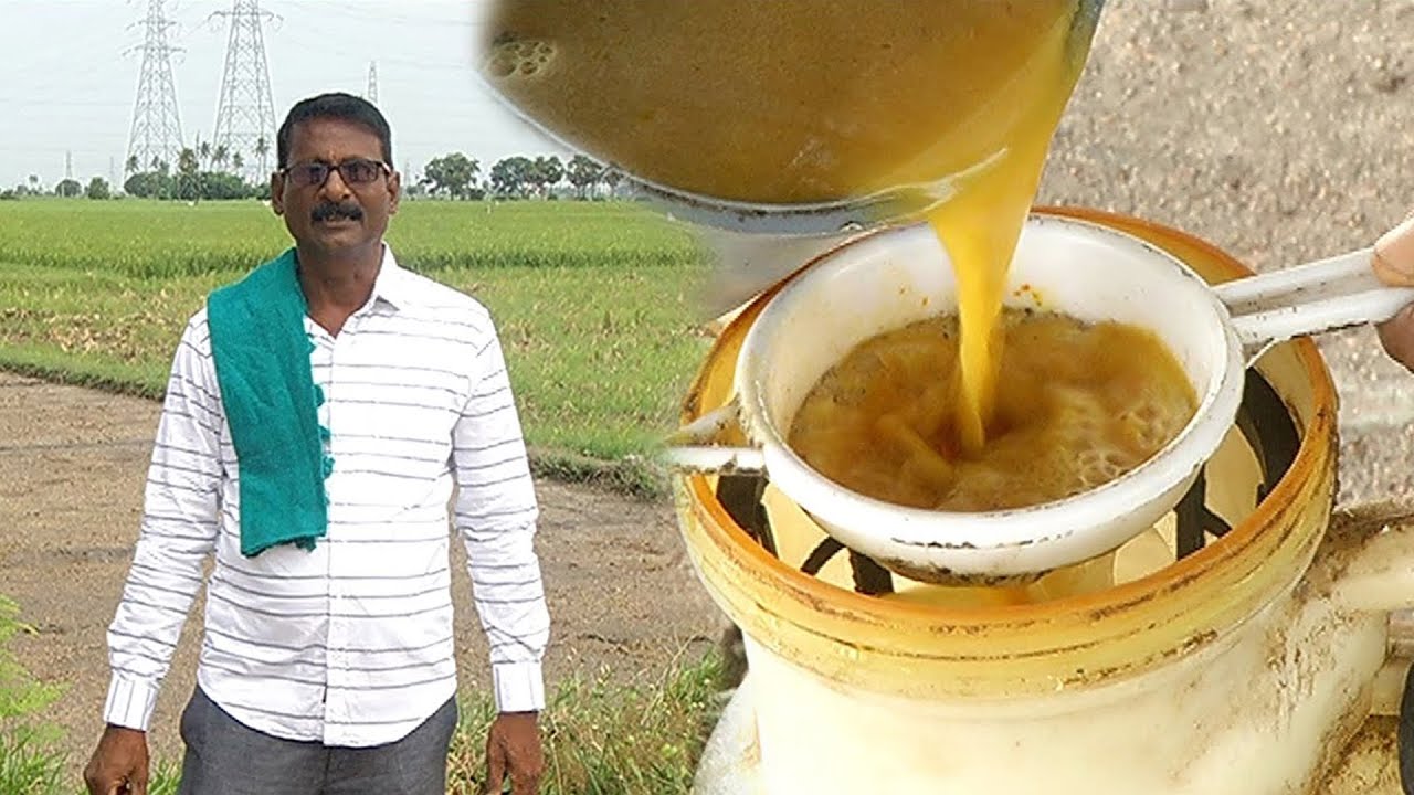 எல்லா பயிர்களுக்கும்,நோய்களுக்கும் ஒரே மருந்து - ''கற்பூர கரைசல்'' | Malarum Bhoomi