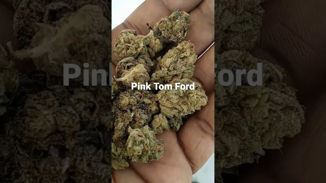 Pink Tom Ford Indica 26%