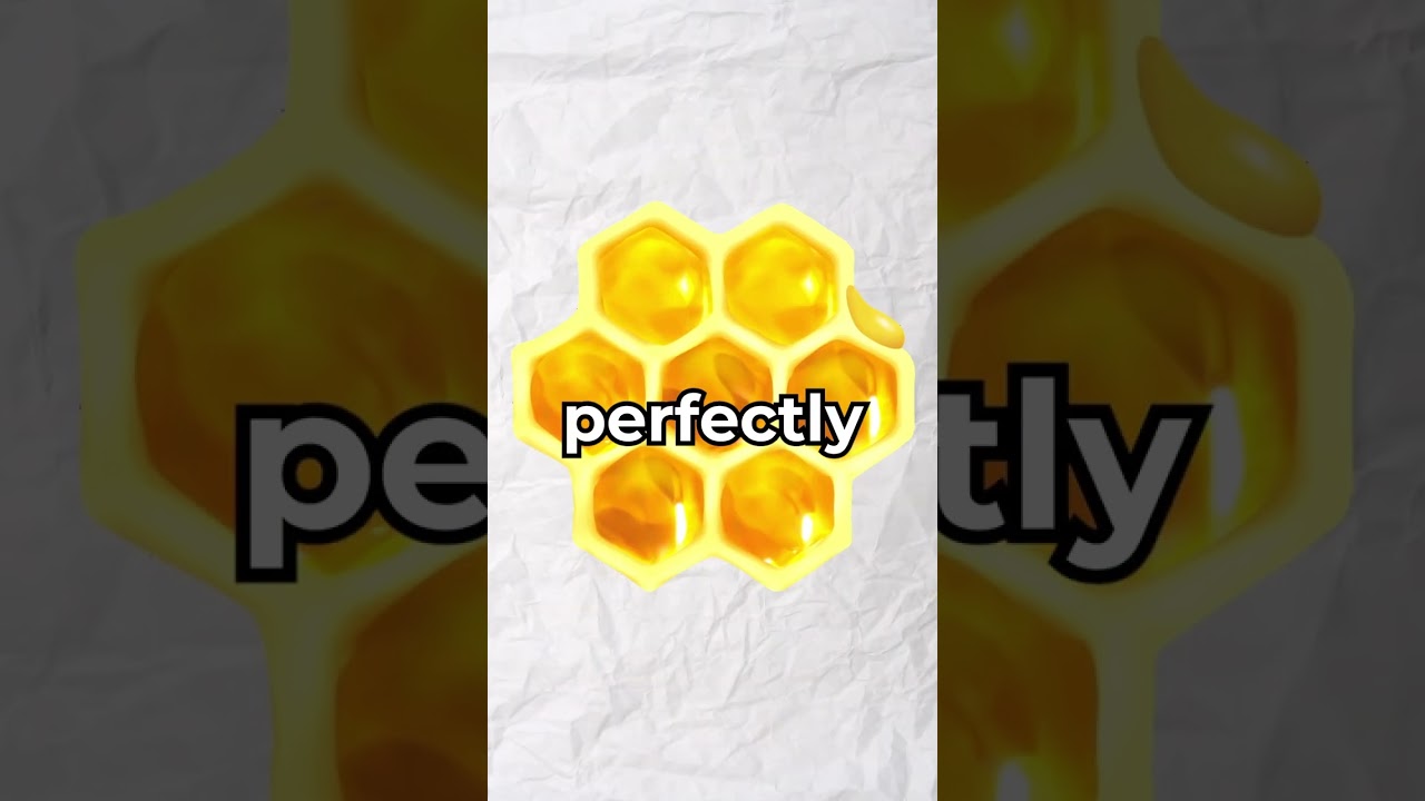 Why are Honeycombs Hexagonal?🤔(Explained) #shorts #viral