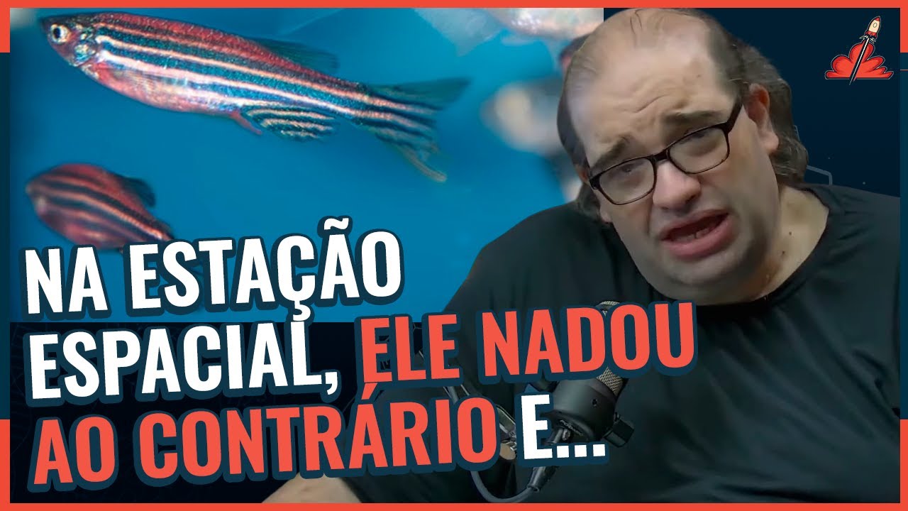 EXPERIMENTO CHINÊS com PEIXES no ESPAÇO