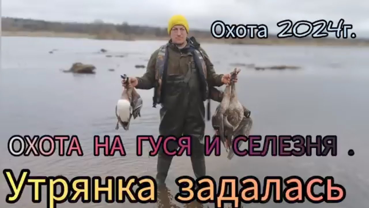 ОХОТА НА ГУСЯ И СЕЛЕЗНЯ. НЕ УТРЯНКА, А ПЕСНЯ.#охотанагуся#гуси#охотасподсадной#охотанаселезня#охота