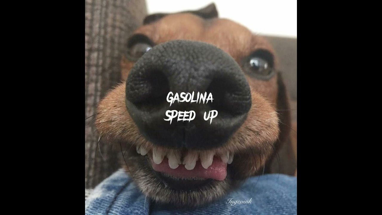 Gasolina speed up