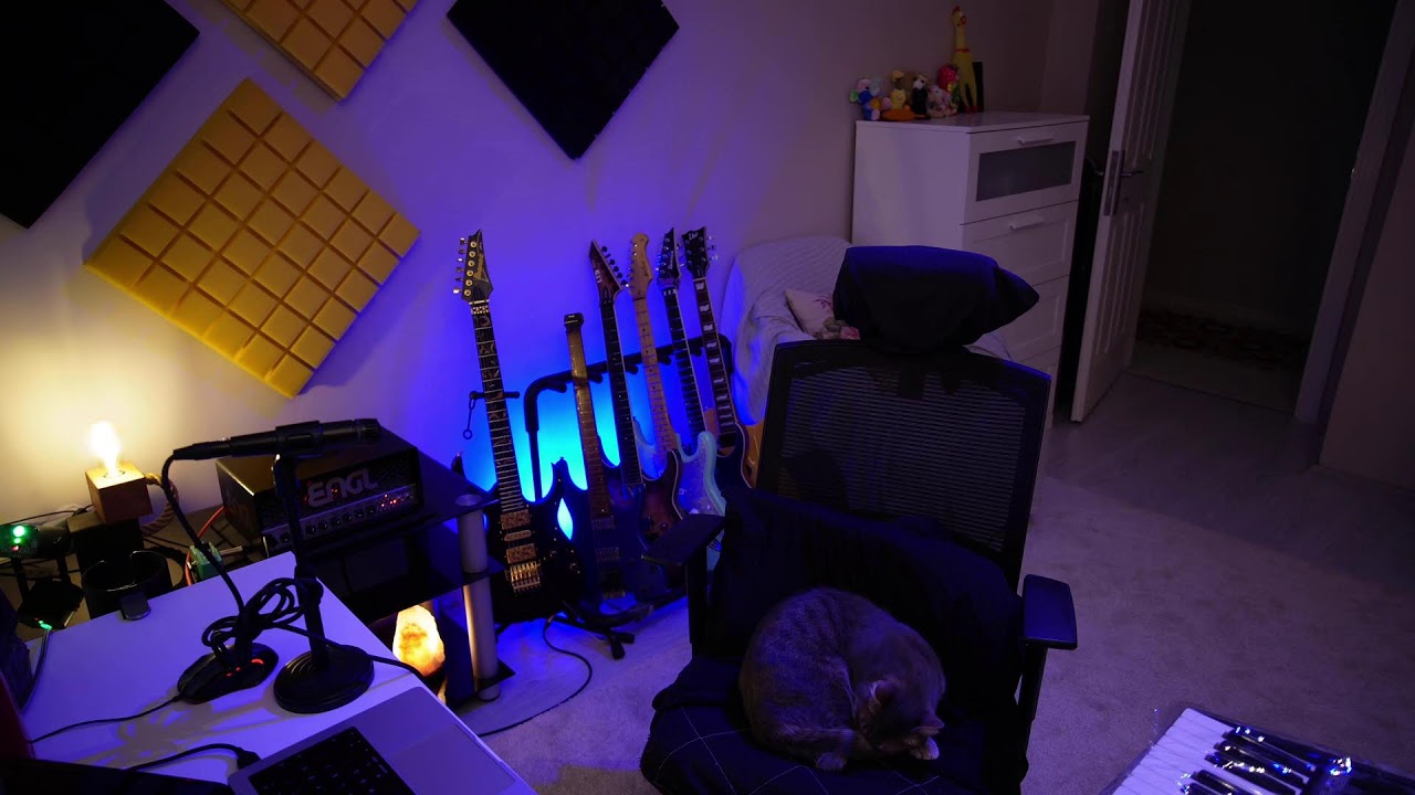 Cat Streams