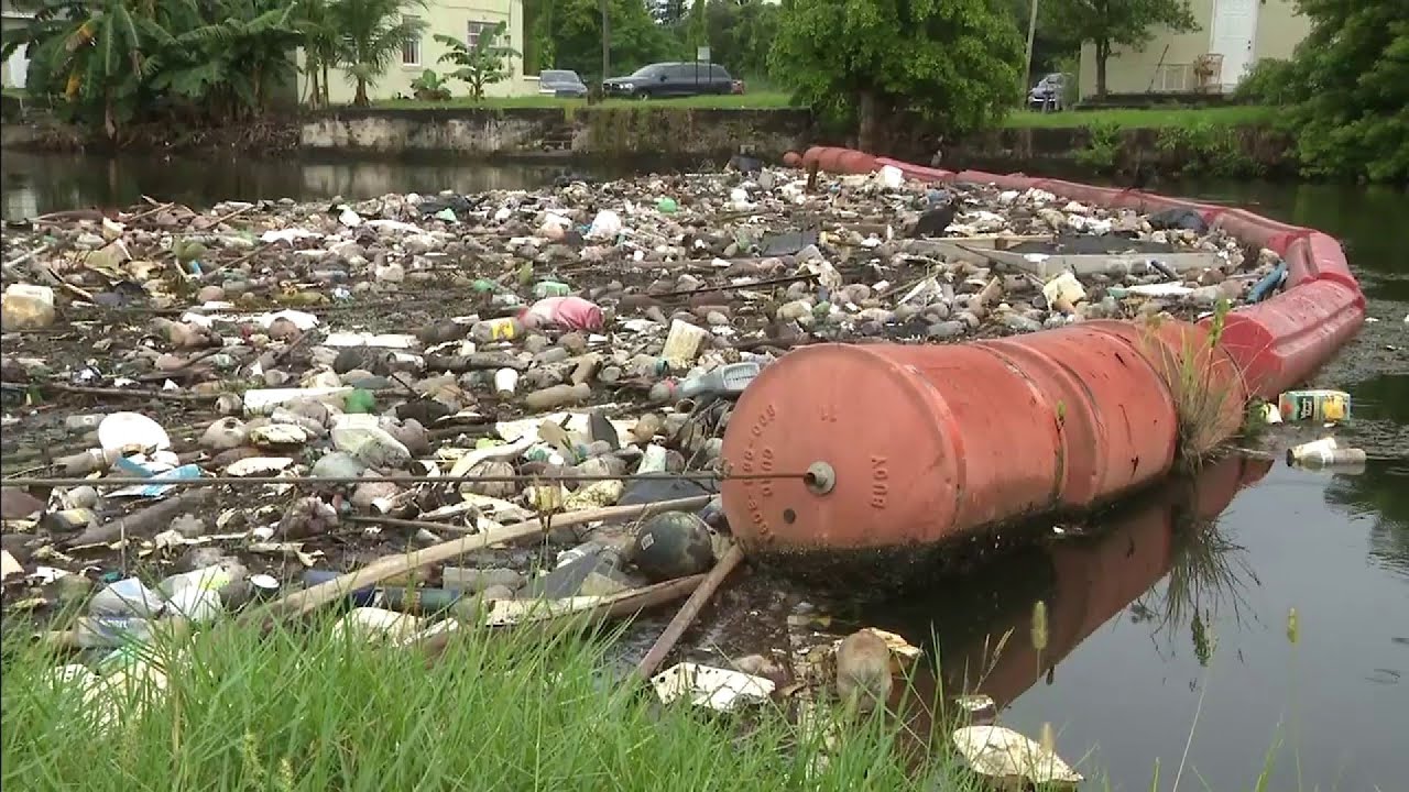 Miami's Little River vulnerable to another fish kill