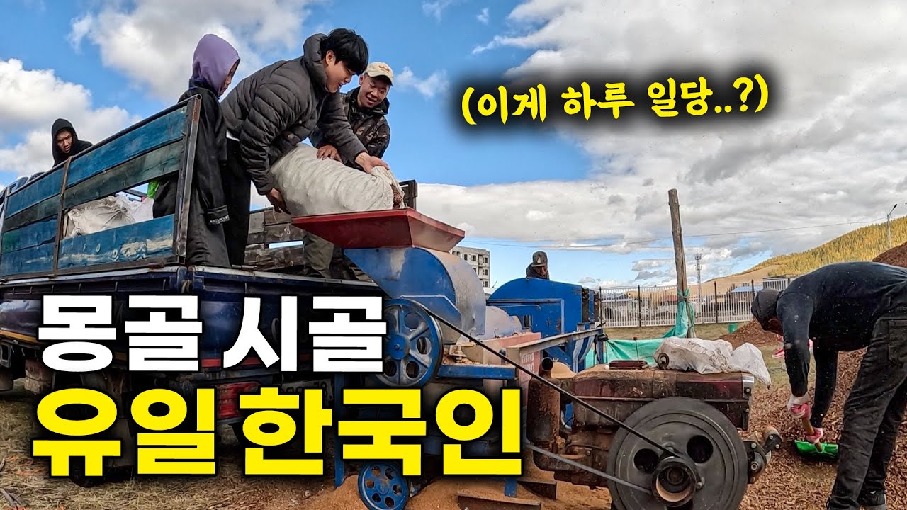 한국인 99%는 모르는 몽골 시골 마을에 내가 살게 된 이유