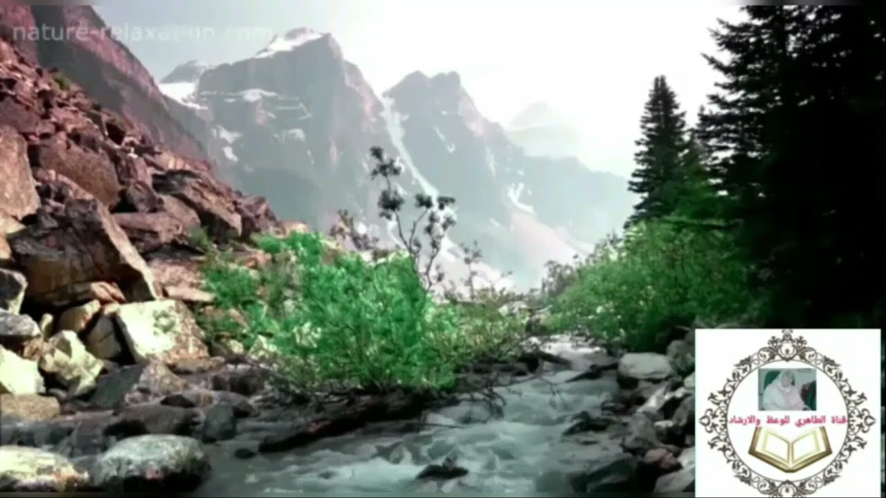 السيرة النبوية  من شهداء أحد  ...رقم 122