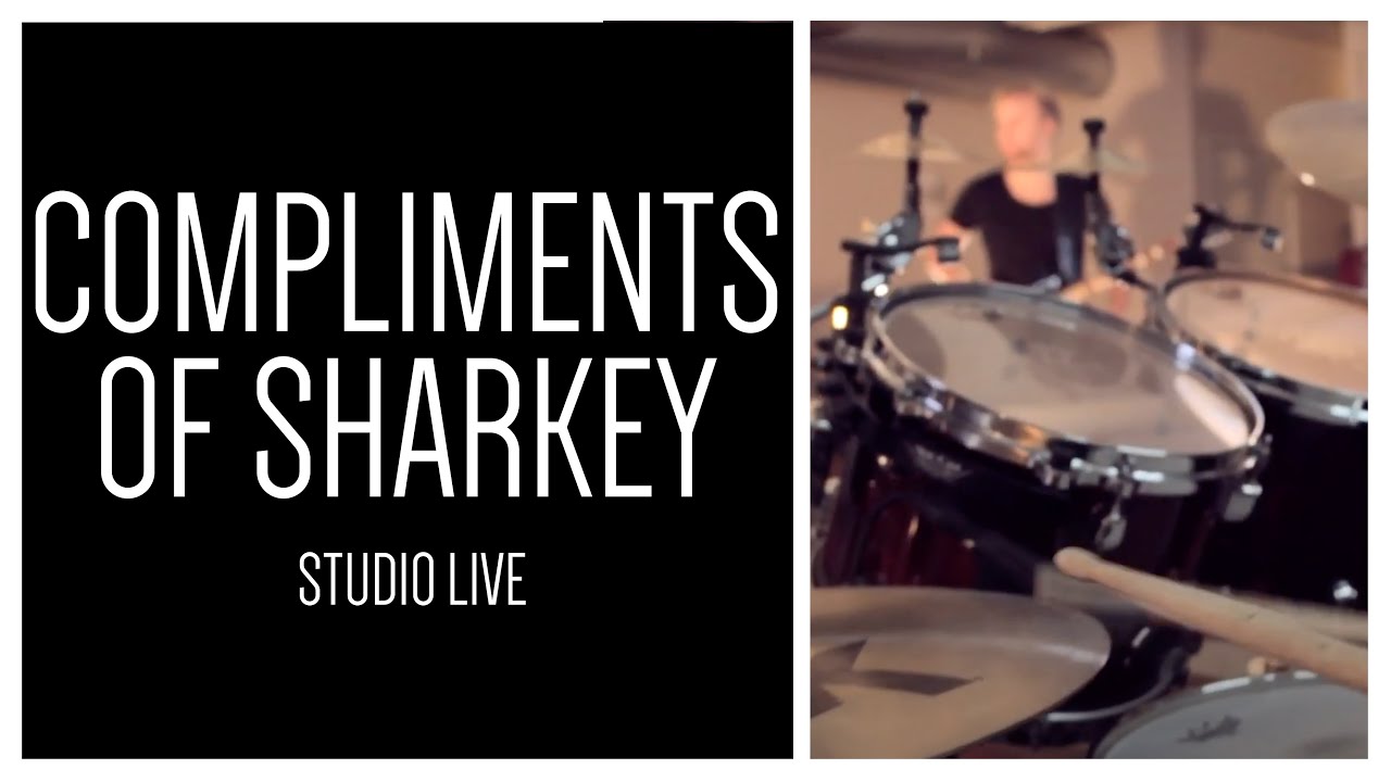 Pymlico - Compliments of Sharkey - Studio Live