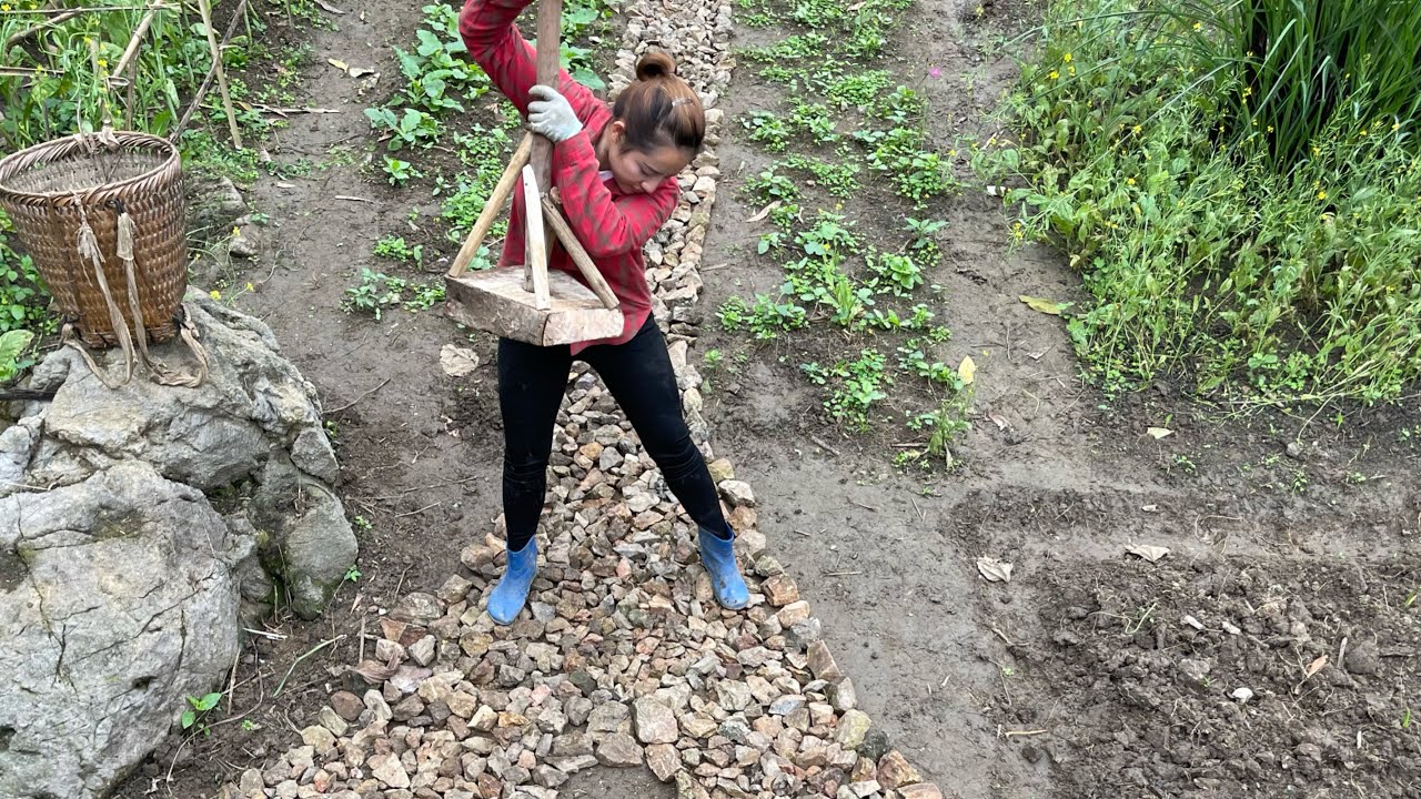 How to garden. take care of corn and squash, grow beans. make a stone path in the farm EP.29