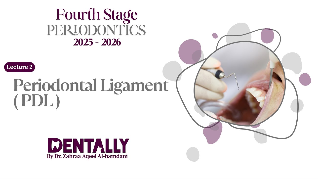 Periodontics | 4th | Periodontal ligament مادة البريو المرحلة الرابعة 