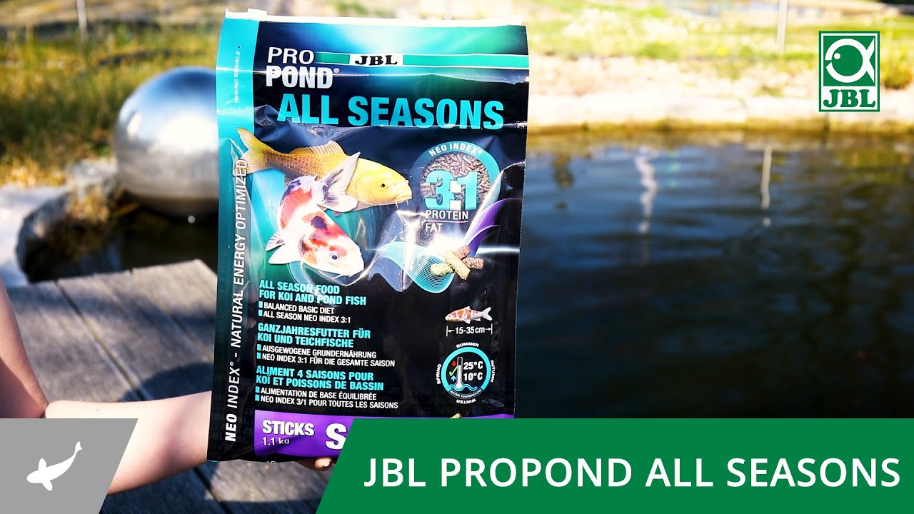 Futtersticks f&uuml;r die Ganzjahresf&uuml;tterung Ihrer Teichfische - JBL PROPOND ALL SEASONS