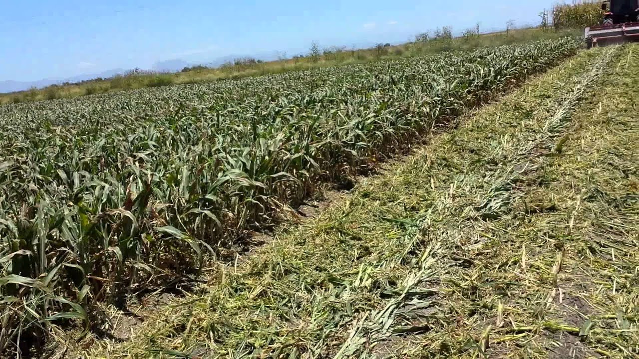 Desmenuzadora para 4 surcos modelo 2015