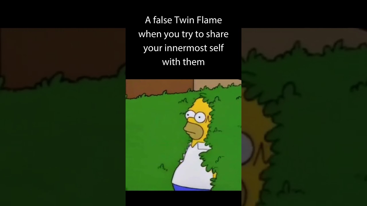 When you open up to a false Twin Flame...
