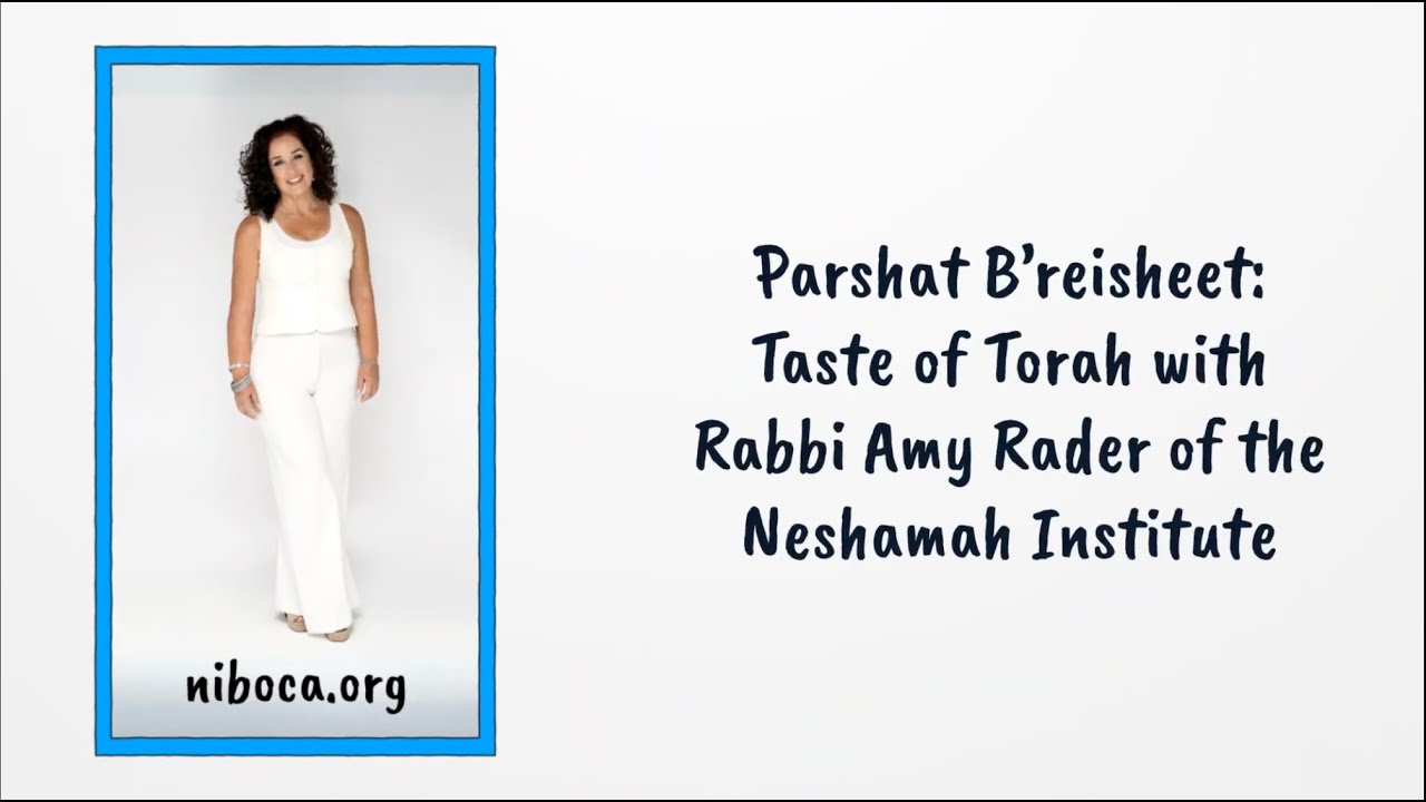 Taste of Torah: Parshat Breisheet | Rabbi Amy Rader | Modern Jewish Teaching & Inspiration