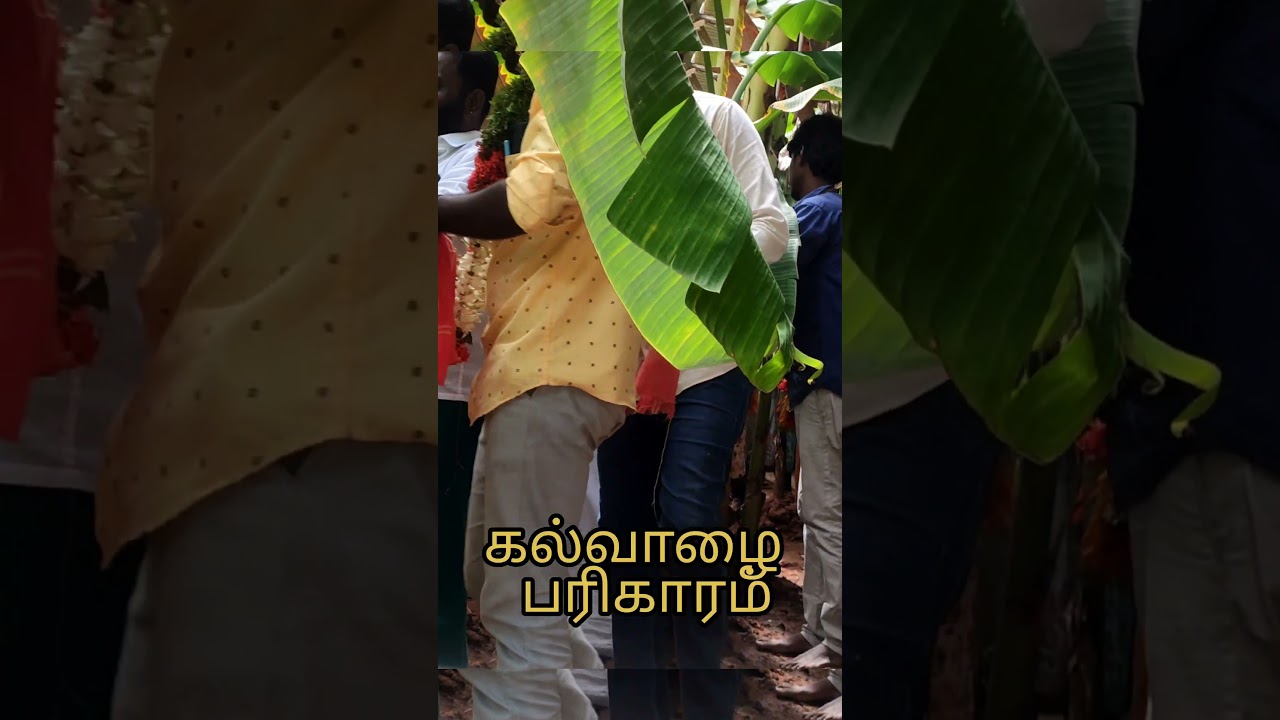 Thiruppainjeeli Temple #shorts #shortsvideo #shortsfeed #like #subscribe #share @MCA6