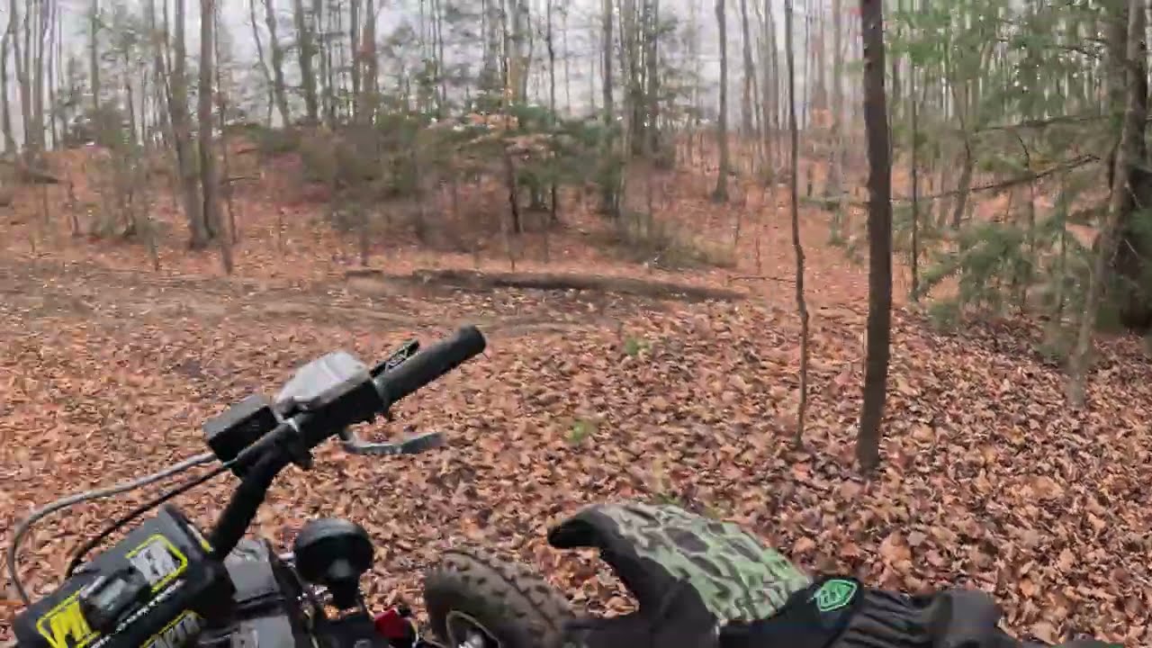 My favourite little trail loop. YAMAHA BANSHEE 350 