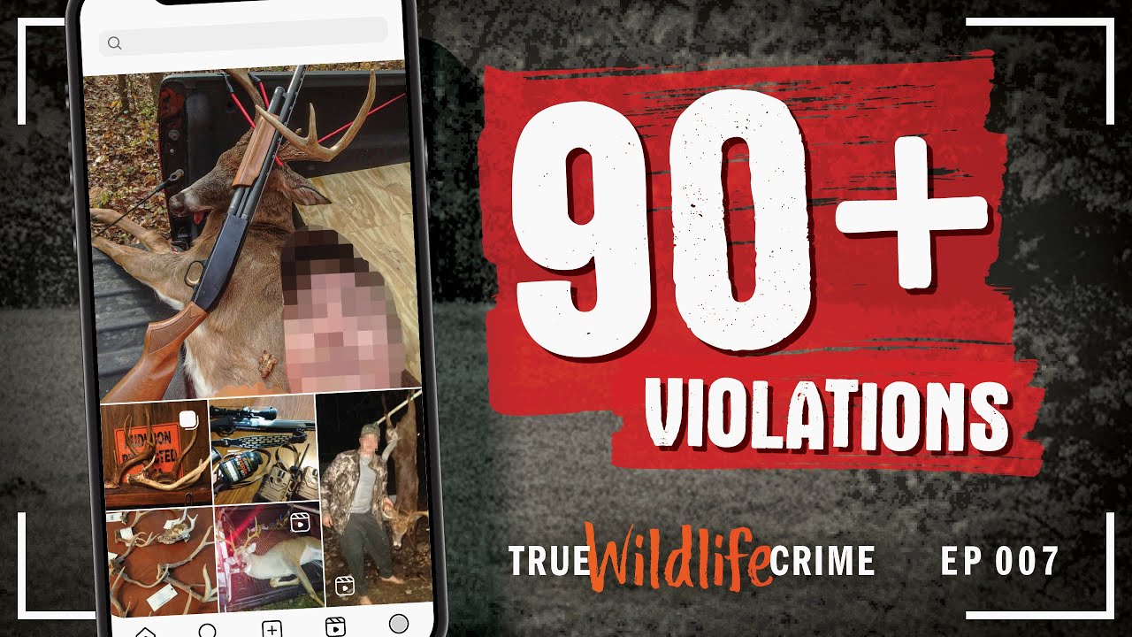 True Wildlife Crime: A Tip, a Buck, and a Legacy of Crime