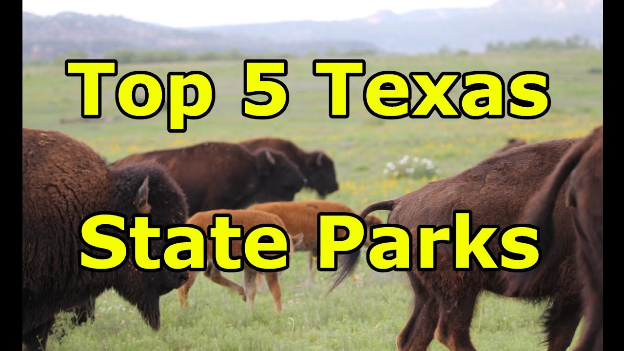 Top 5 Texas State Parks