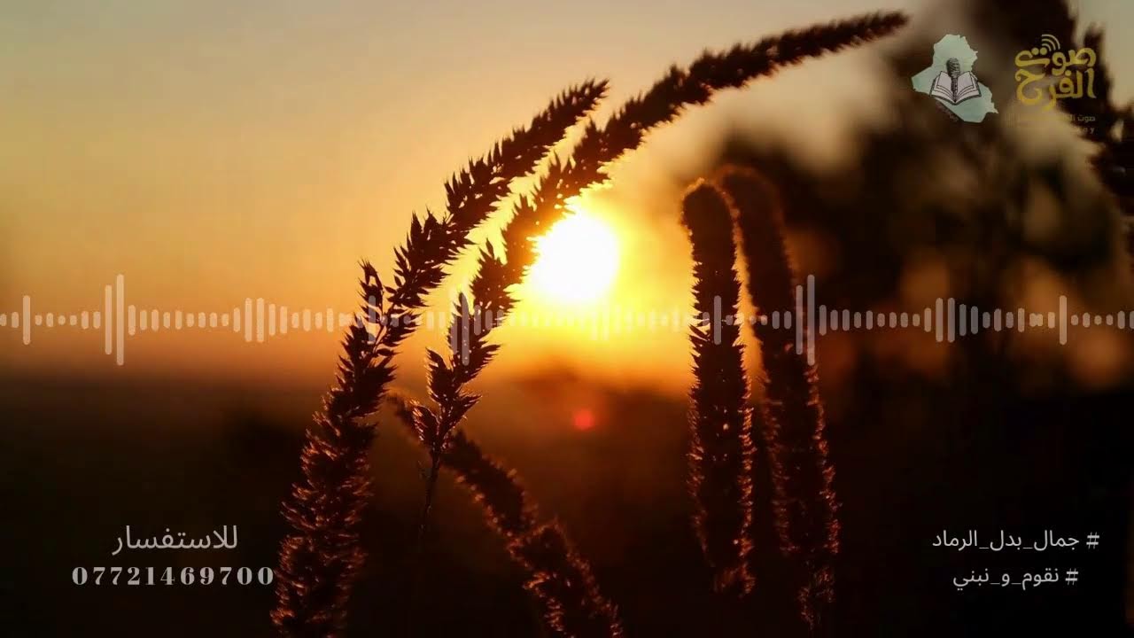 برنامج عهد افضل