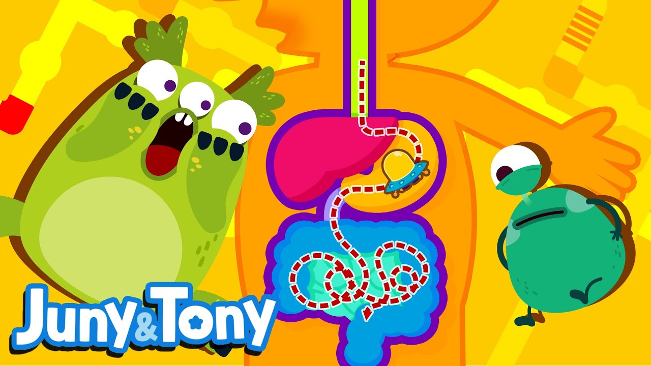 Journey into Our Bodies | Digestive System | My Body Songs for Kids | Kids Pop | JunyTony