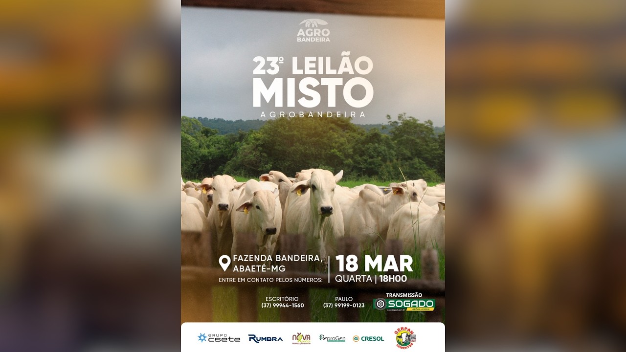 23º LEILÃO MISTO - AGRO BANDEIRA EM ABAETÉ/MG - 18/03/2026