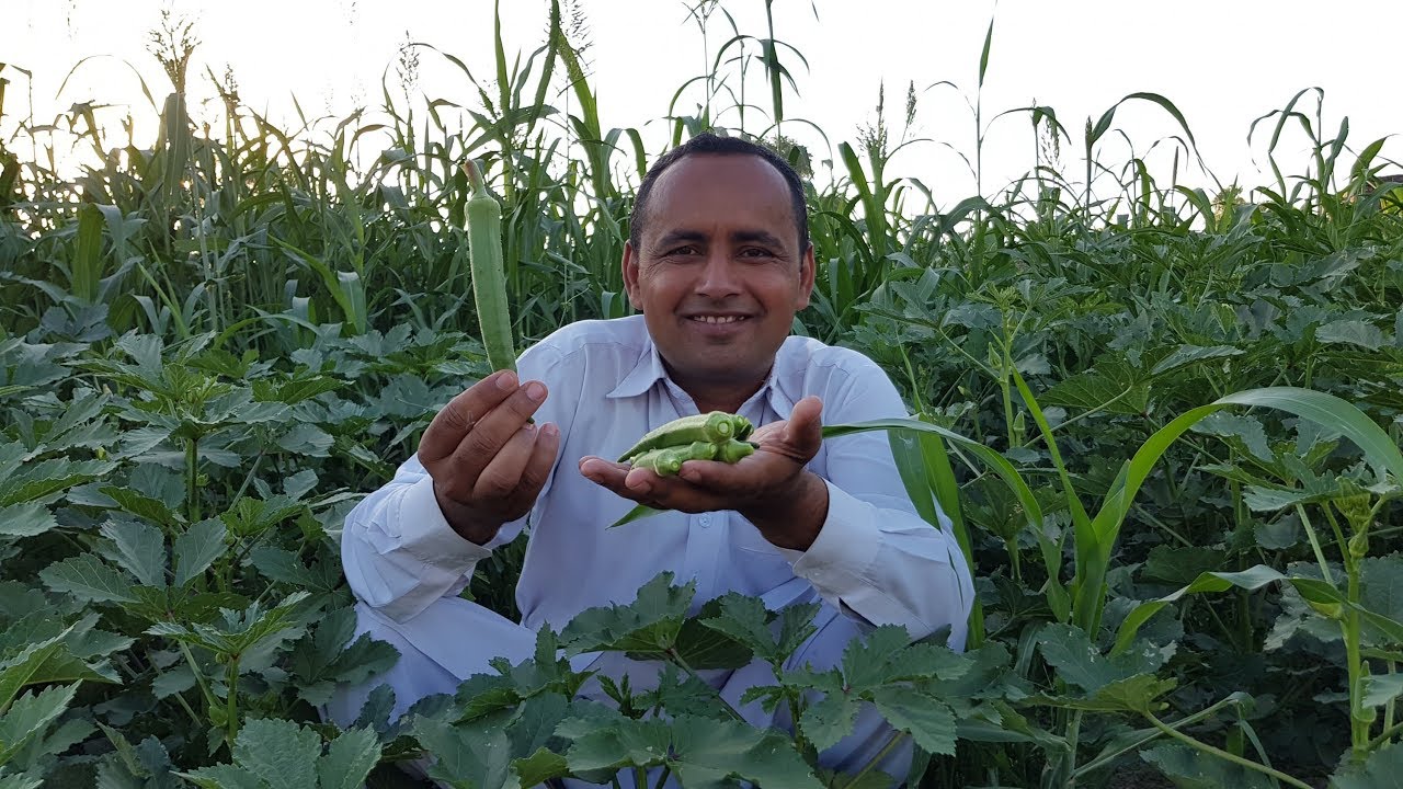 Bhindi Keema Recipe | Masala Bhindi Qeema | Mubashir Saddique | Village Food Secrets