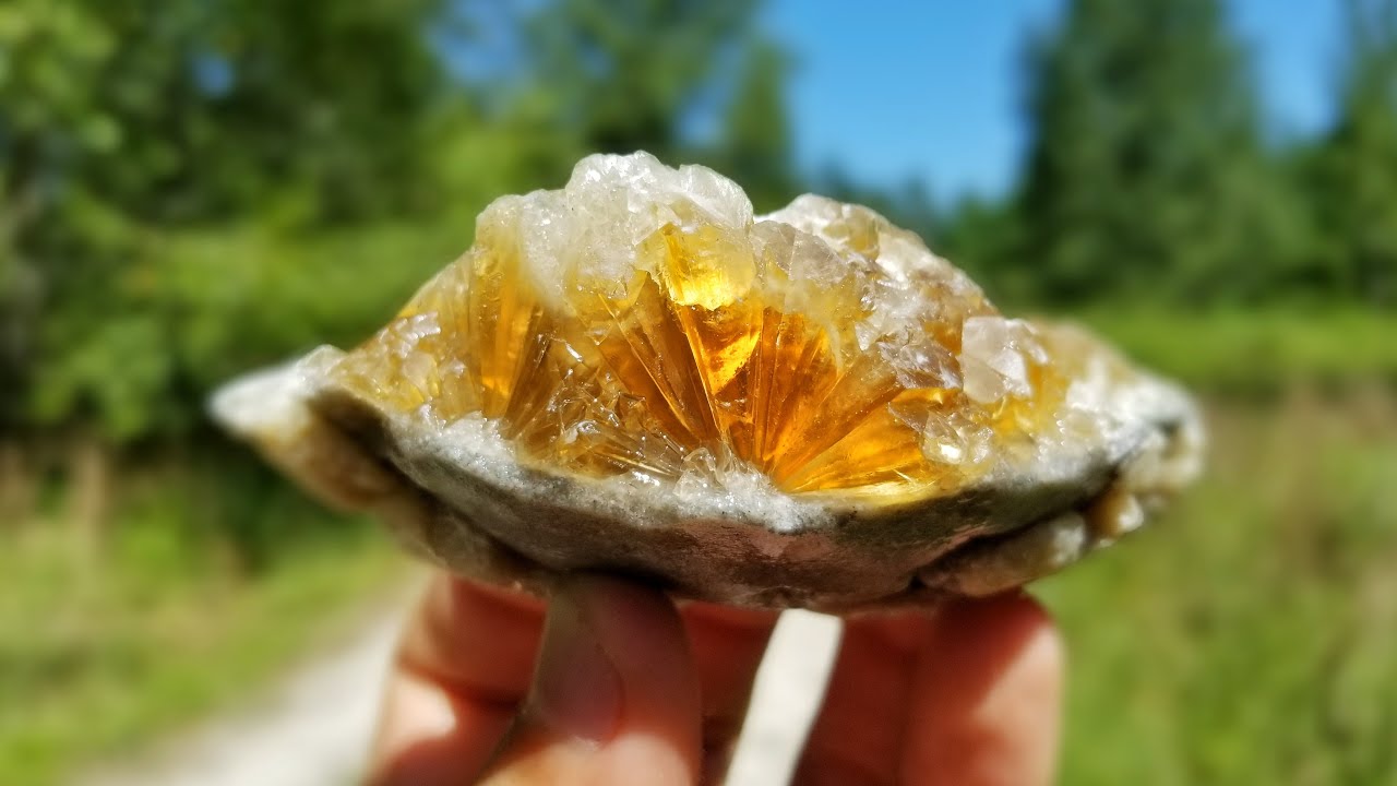 I Found TONS of Crystals in Florida | Calcite Crystal and Fossil Hunting on Dirt Roads