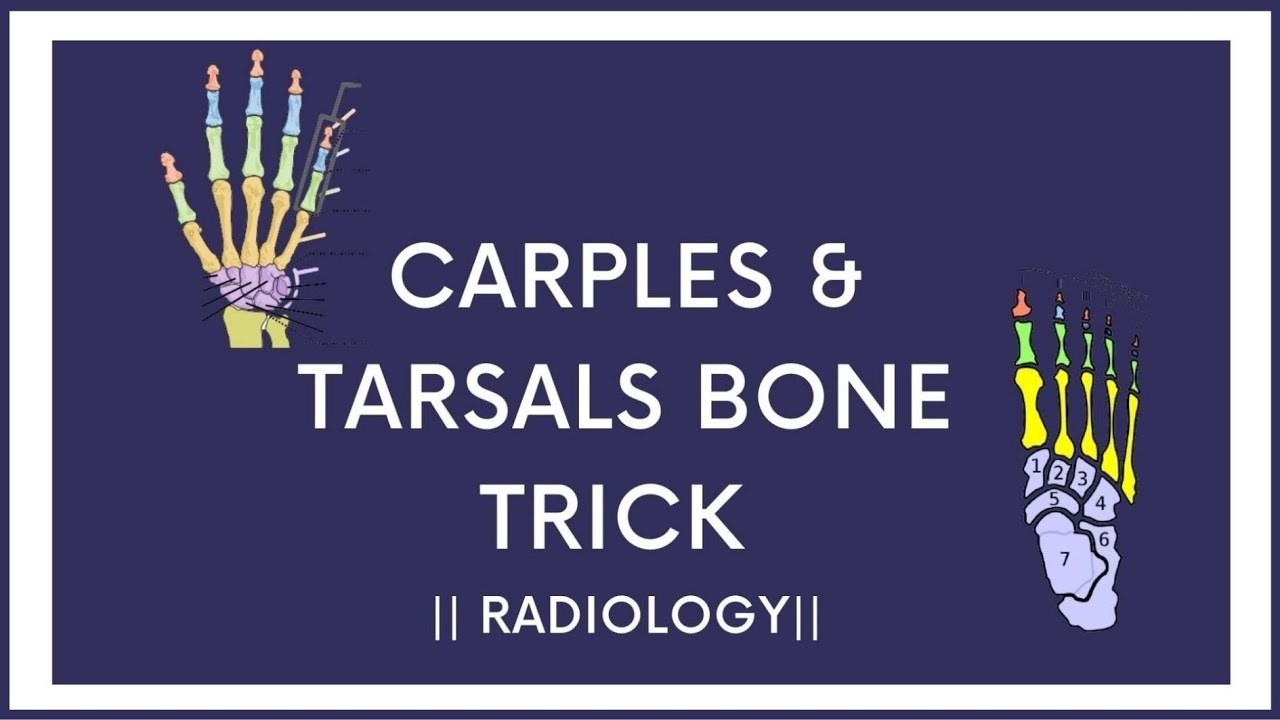Simplest trick to remember Tarsals & Carpals Name