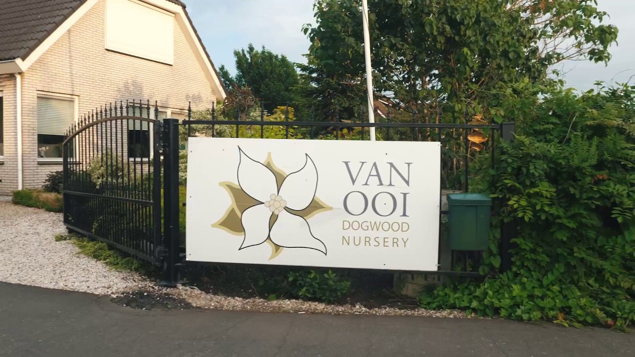 Open dag  gespecialiseerde kwekerijen Boskoop - Boomkwekerij van Ooi
