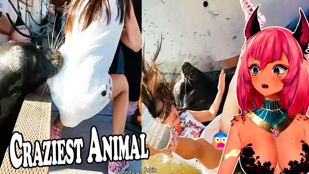 Trickywi Reacts To Craziest Animal Encounters of All Time by Daily Dose Of Internet