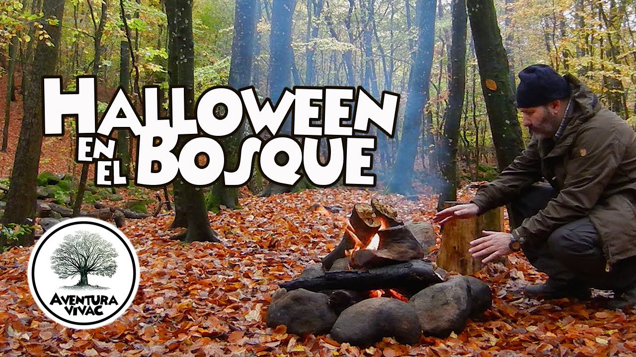 NOCHE MÁGICA EN EL BOSQUE - Dos días de bushcraft en solitario