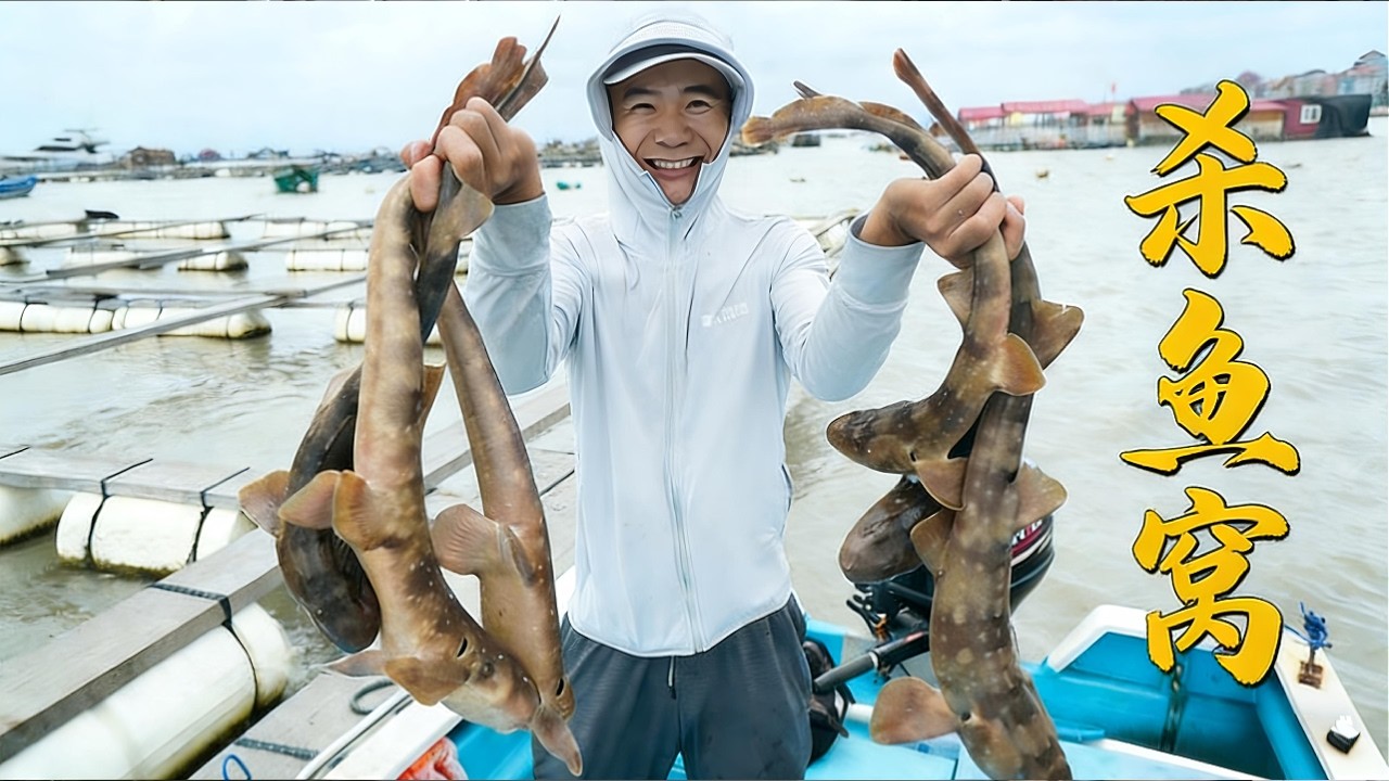阿烽出海连抓六条狗鲨，卖价超千元，老板直夸阿烽发大财了