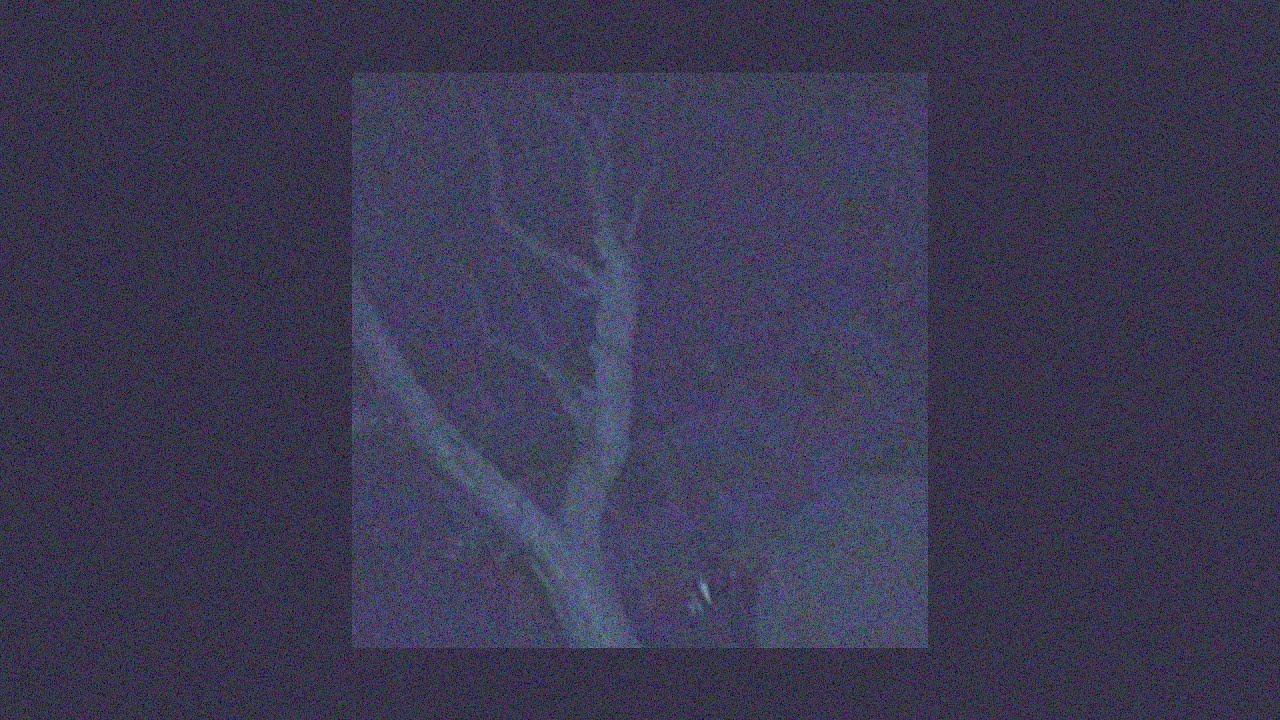 ✦ free spooky black / greafer / clams casino type beat 