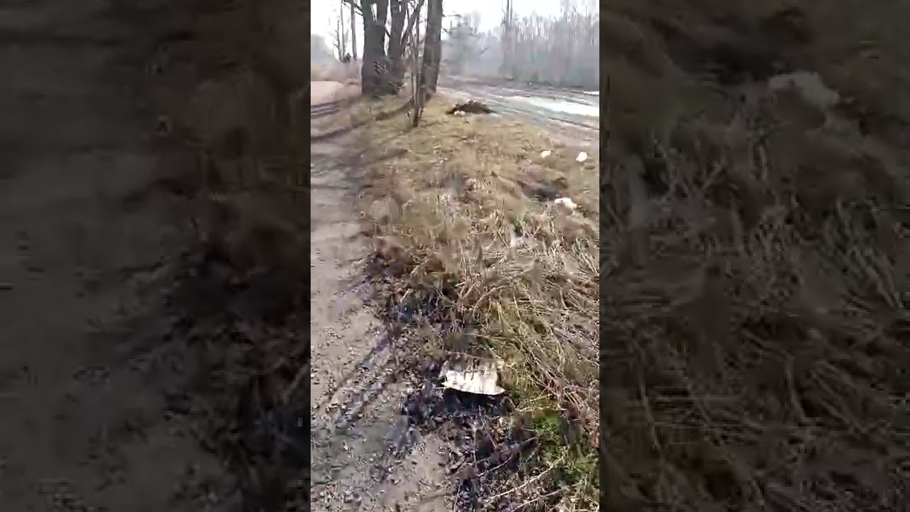 новый автобан зтмк и кремнеполемер