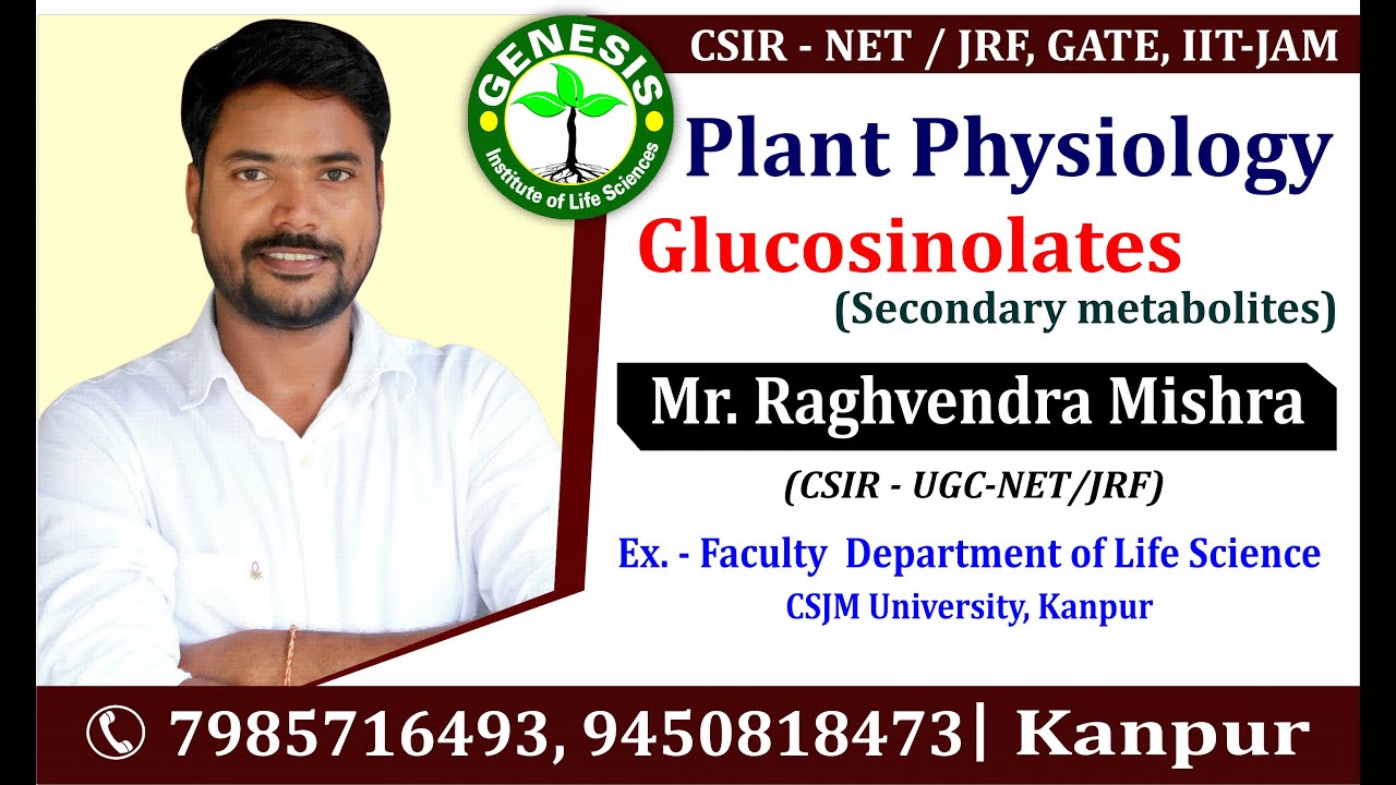Glucosinolates:Secondary Metabolite Plant Physiology Part IV #CSIR #JRF #Genesis # DBT #GATE