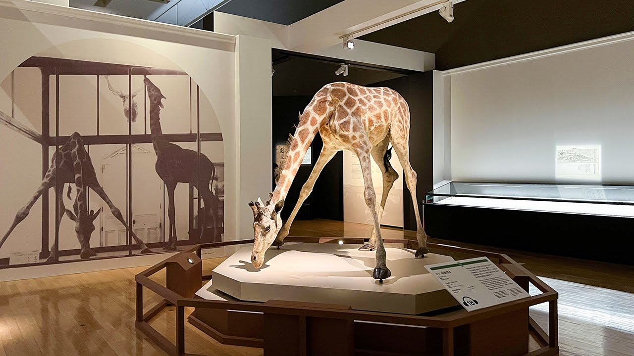 東京国立博物館「国宝　東京国立博物館のすべて」