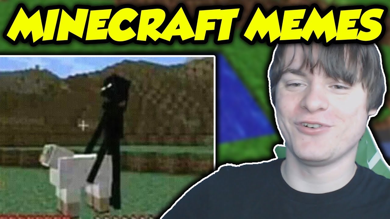 The Best Minecraft Memes Of ALL TIME