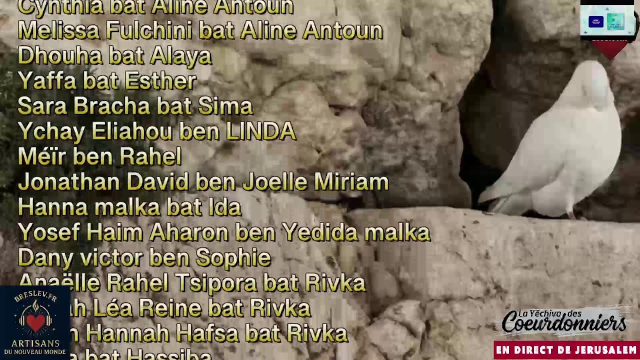 Tikoun Haclali ensemble -16 fev  - Breslev- Ouman-