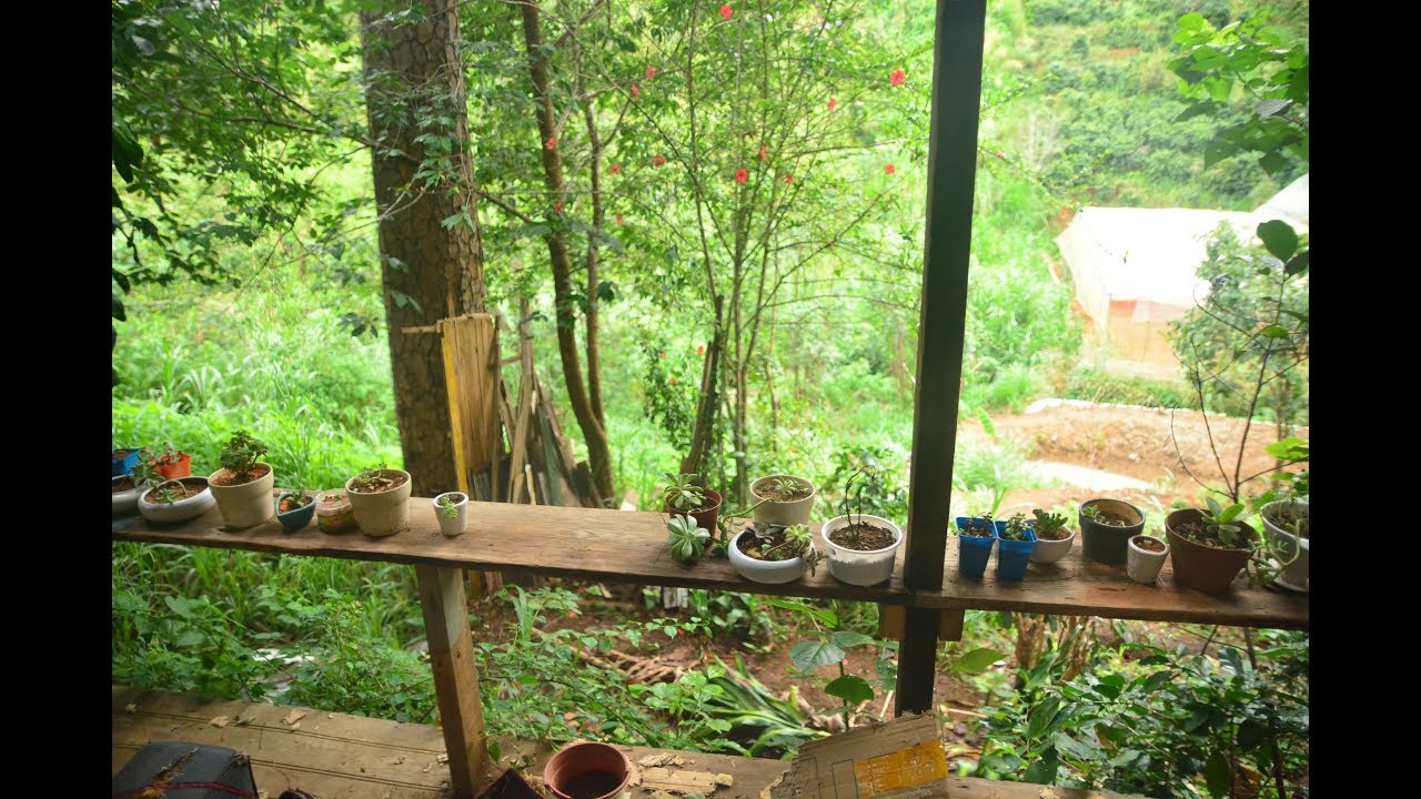 Một nơi gọi là NHÀ | NGƯỜI ĐÀ LẠT