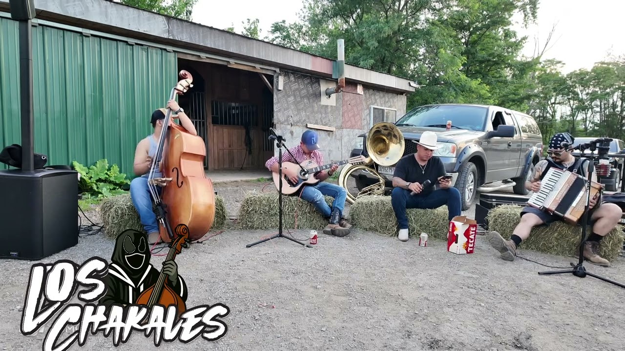 Diferencias Soaciales en vivo - Los Chakales