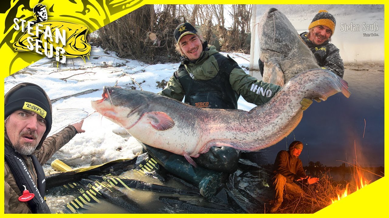Winter Wels - DER FILM | Ein Angelabenteuer an den größten SEEN und FLÜSSEN Europas