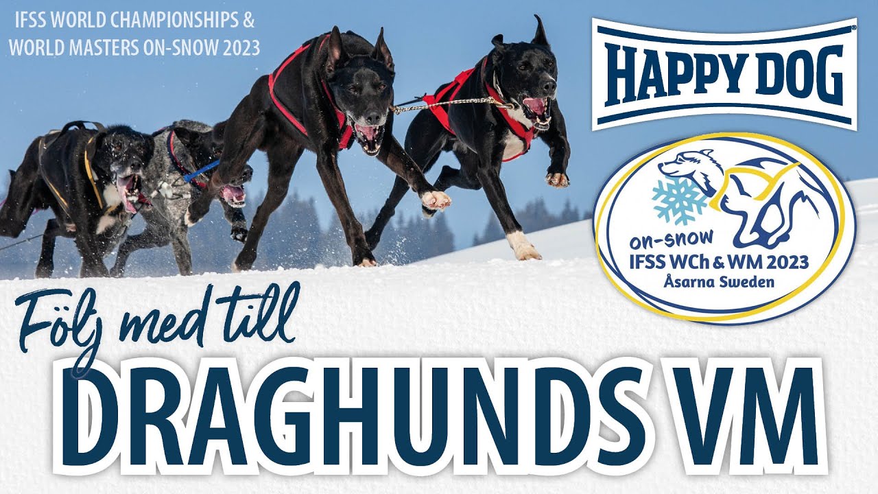 DRAGHUNDS-VM 2023 ❄️ | IFSS, On-Snow WCh & WM 2023 - Åsarna, Sweden
