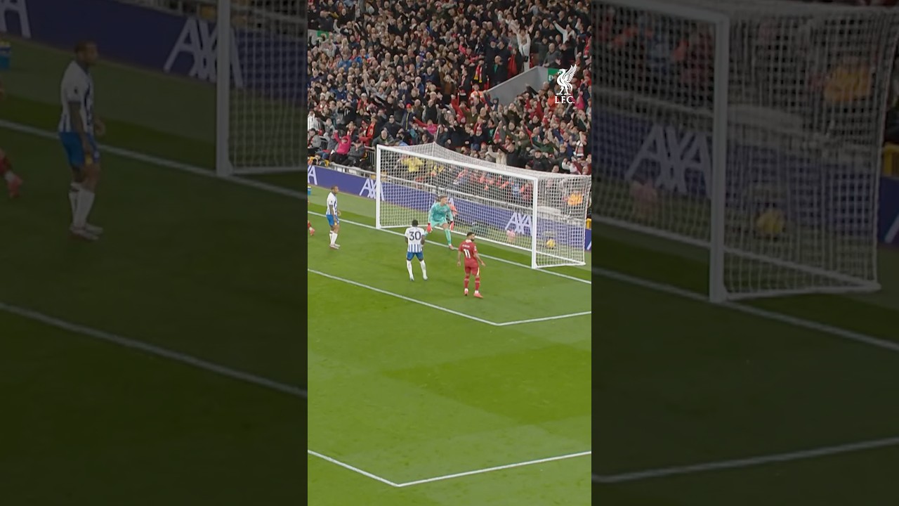 Gakpo Goal Begins Comeback 🔥