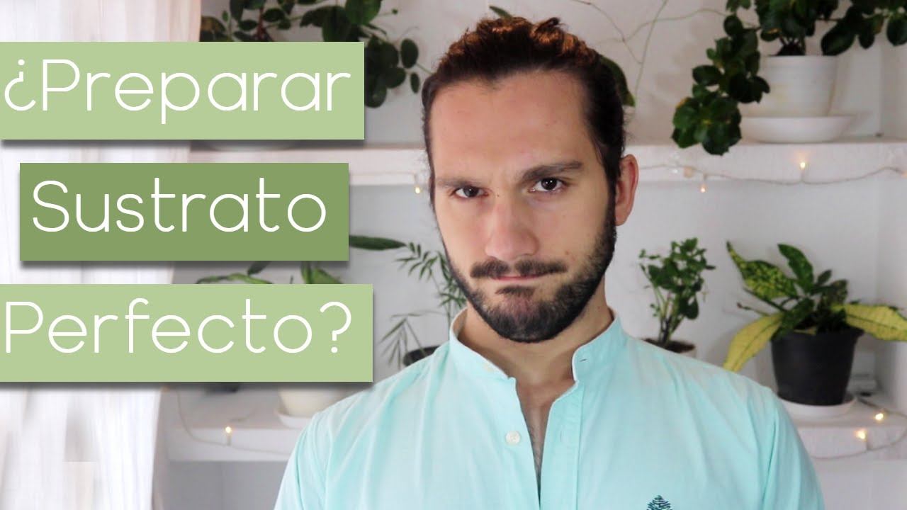 👌C&oacute;mo preparar SUSTRATO para plantas🌱 Las * 3 * propiedades B&Aacute;SICAS😁